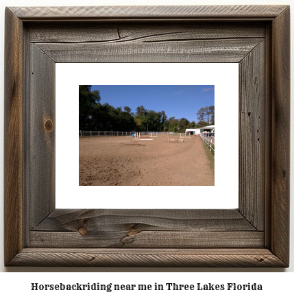 horseback riding near me in Three Lakes, Florida